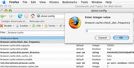 browser.cache.check_doc_frecuency = 1